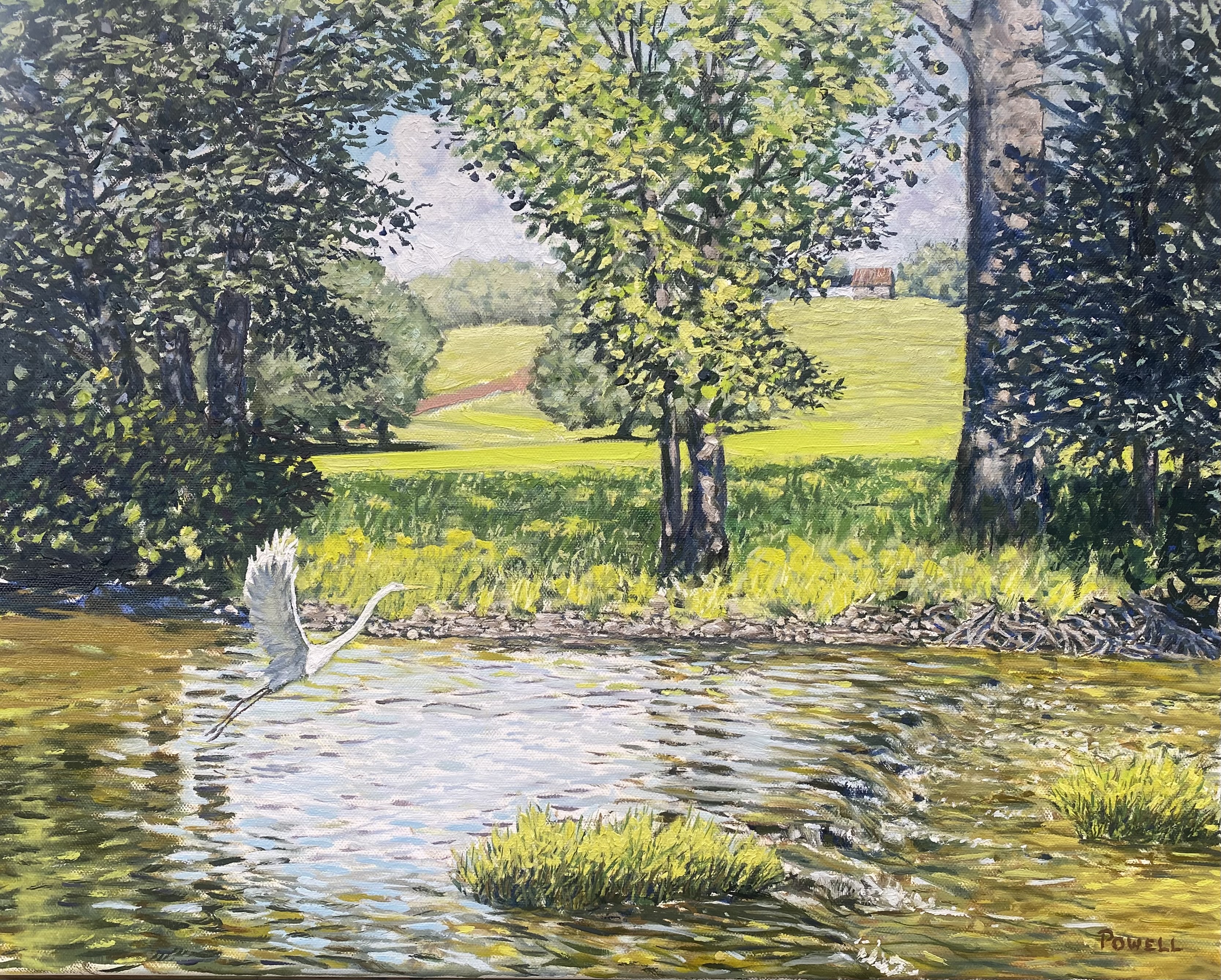 Tom's Creek - Late Summer